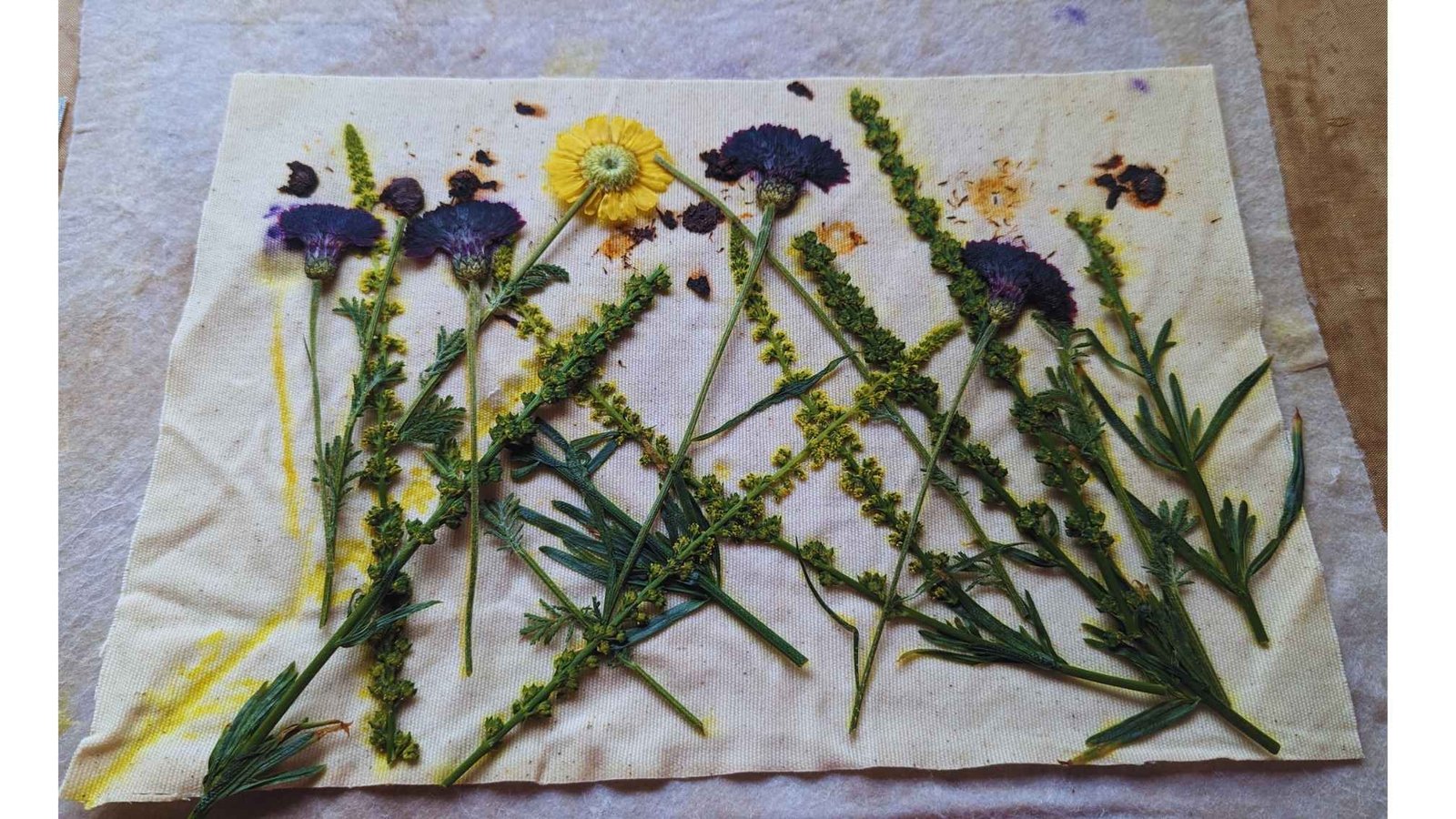 flowers pressed into canvas, creating a botanical print