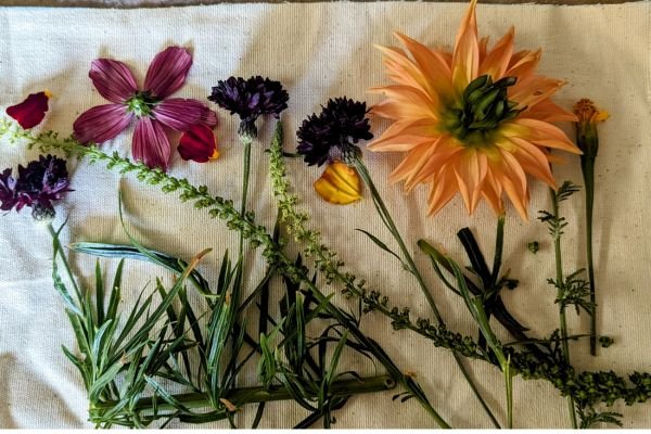 flowers laid out for botanical printing on fabric