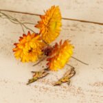 small leather hummingbird dangle earrings displayed on a rustic wood surface with dried flowers
