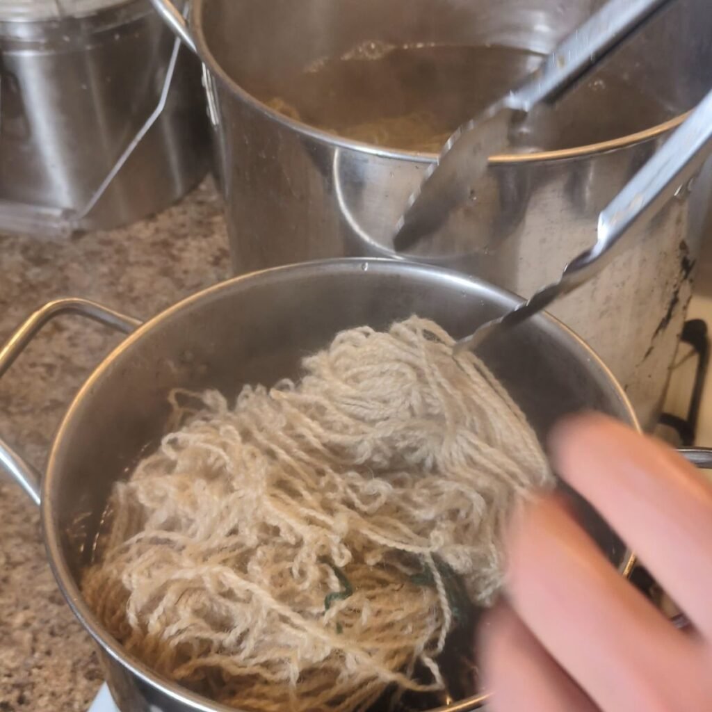 adding white yarn to a dye pot to dye it with coffee natural dye